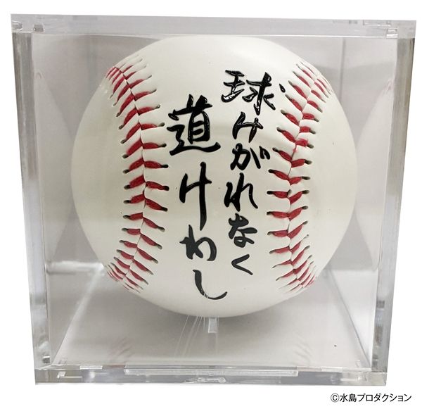 球けがれなく道けわし　プリントボール