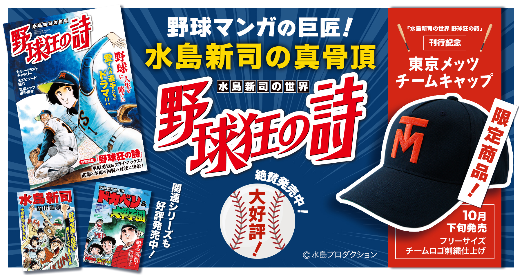野球狂の詩